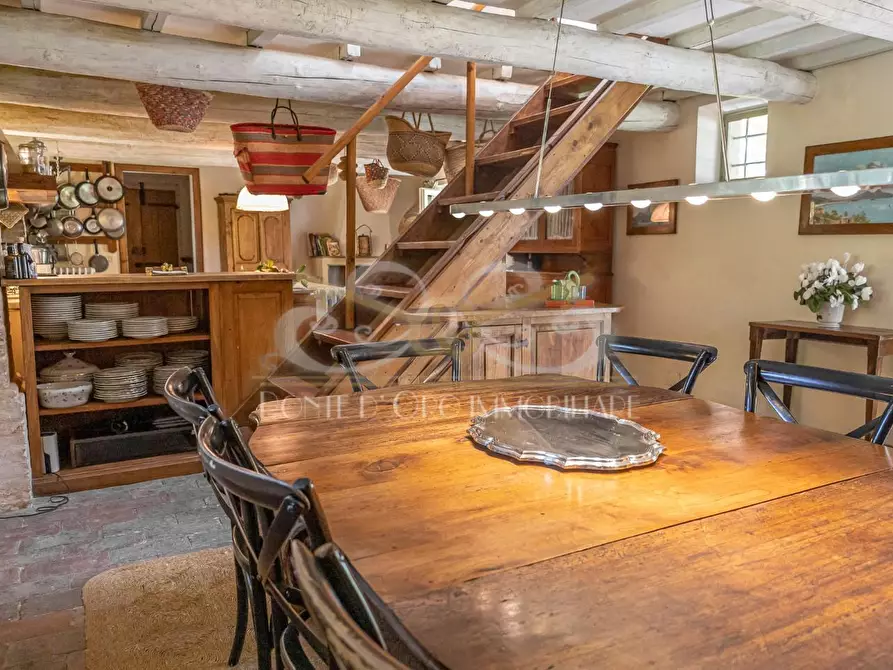 Immagine 12 di Villa in affitto  a Vecchiano