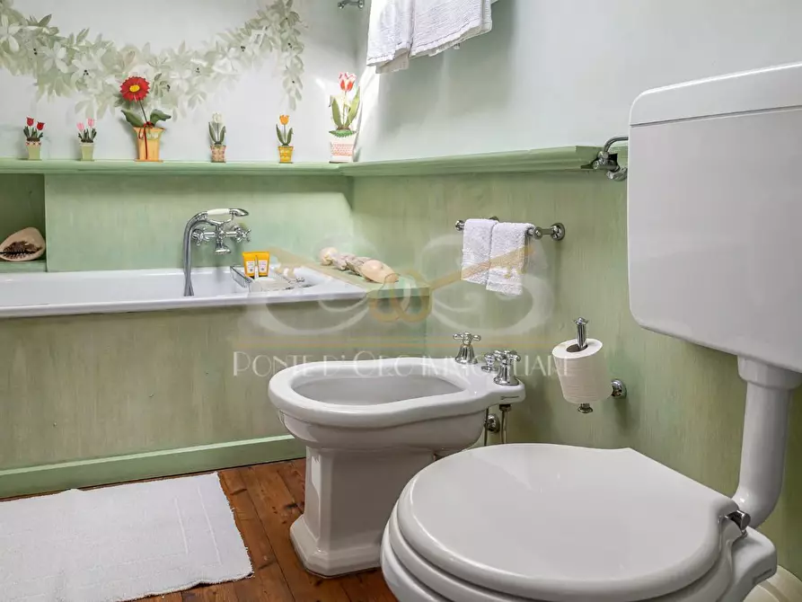 Immagine 25 di Villa in affitto  a Vecchiano