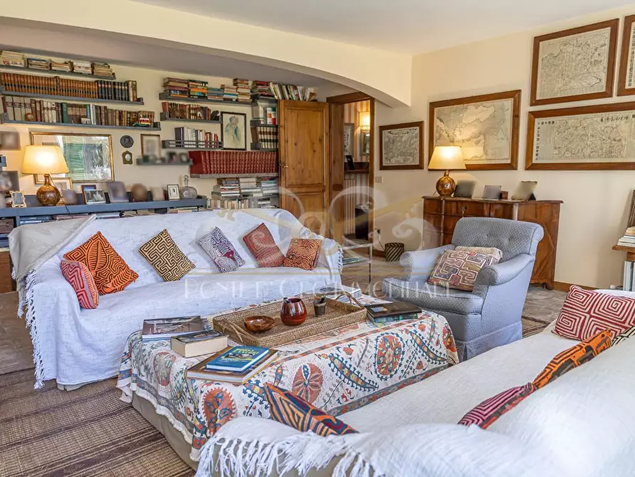 Immagine 17 di Villa in affitto  a Vecchiano