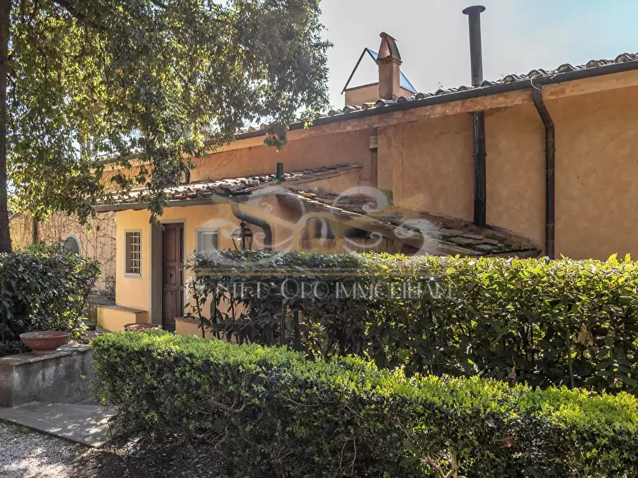 Immagine 2 di Villa in affitto  a Vecchiano