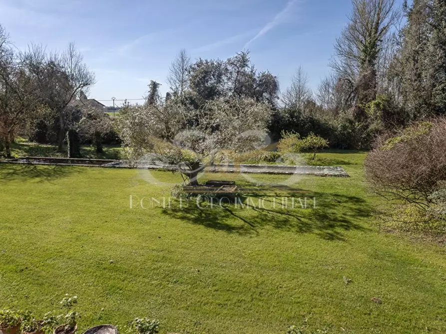 Immagine 4 di Villa in affitto  a Vecchiano