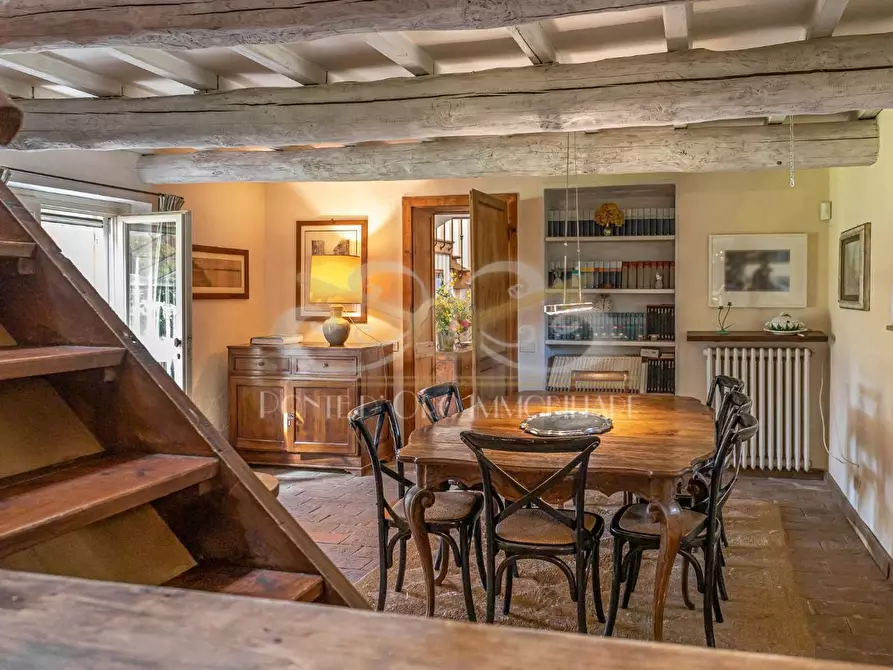 Immagine 11 di Villa in affitto  a Vecchiano