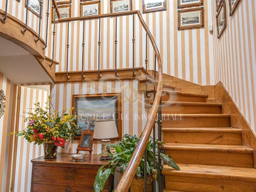 Immagine 21 di Villa in affitto  a Vecchiano