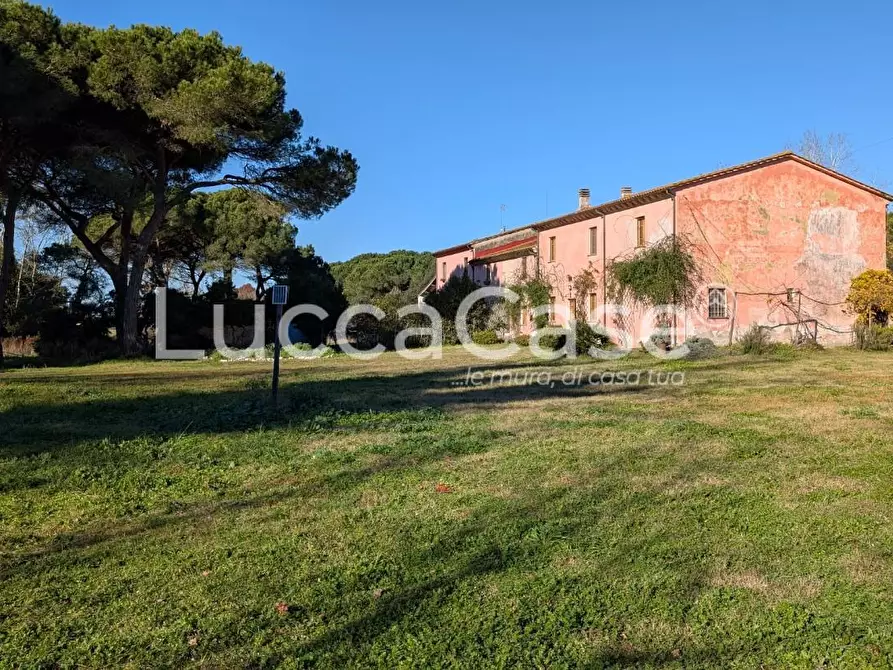 Immagine 2 di Appartamento in affitto  a Vecchiano