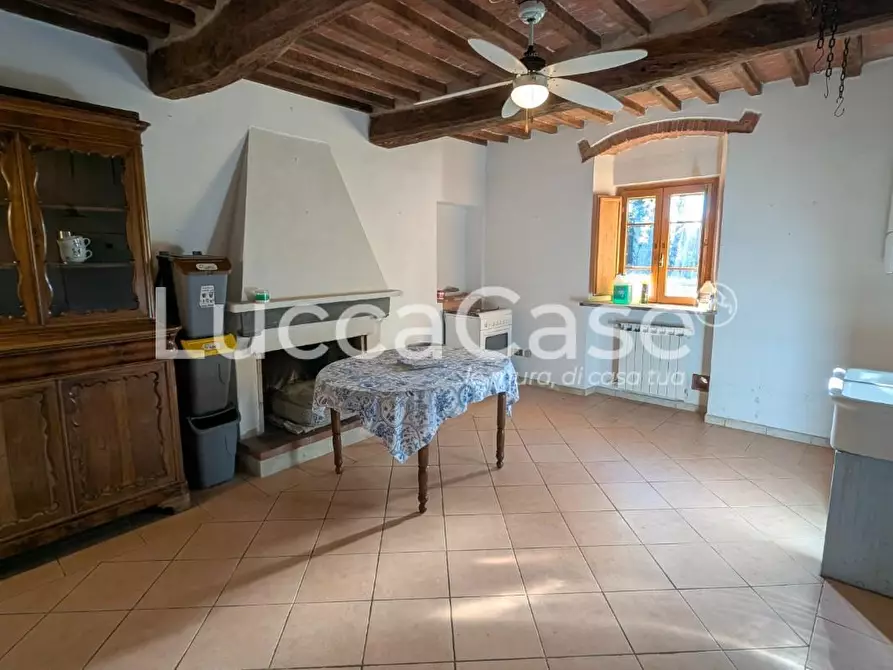 Immagine 10 di Appartamento in affitto  a Vecchiano