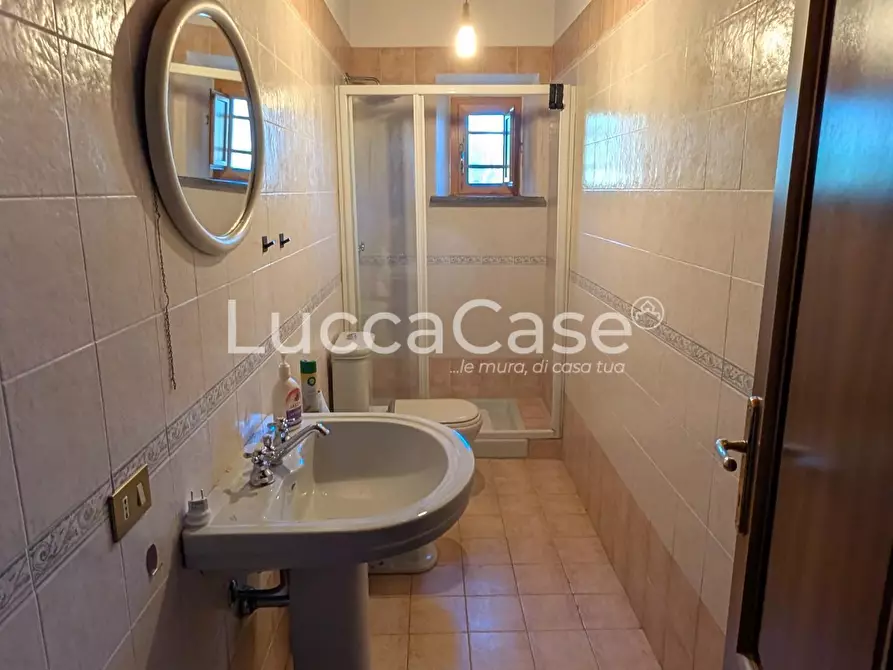 Immagine 16 di Appartamento in affitto  a Vecchiano