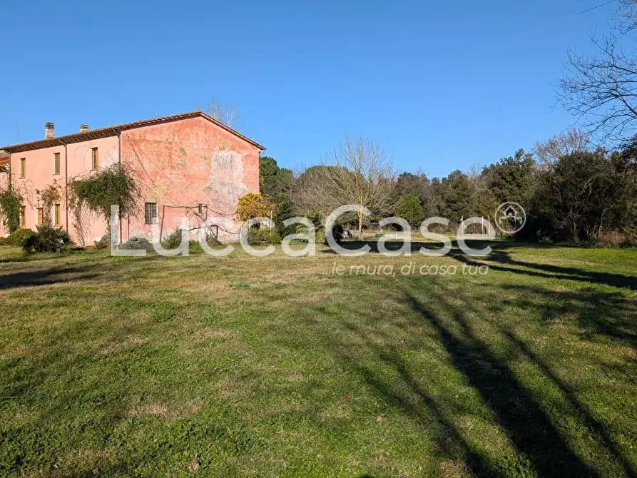 Immagine 5 di Appartamento in affitto  a Vecchiano