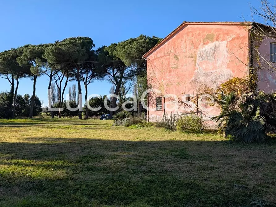 Immagine 3 di Appartamento in affitto  a Vecchiano