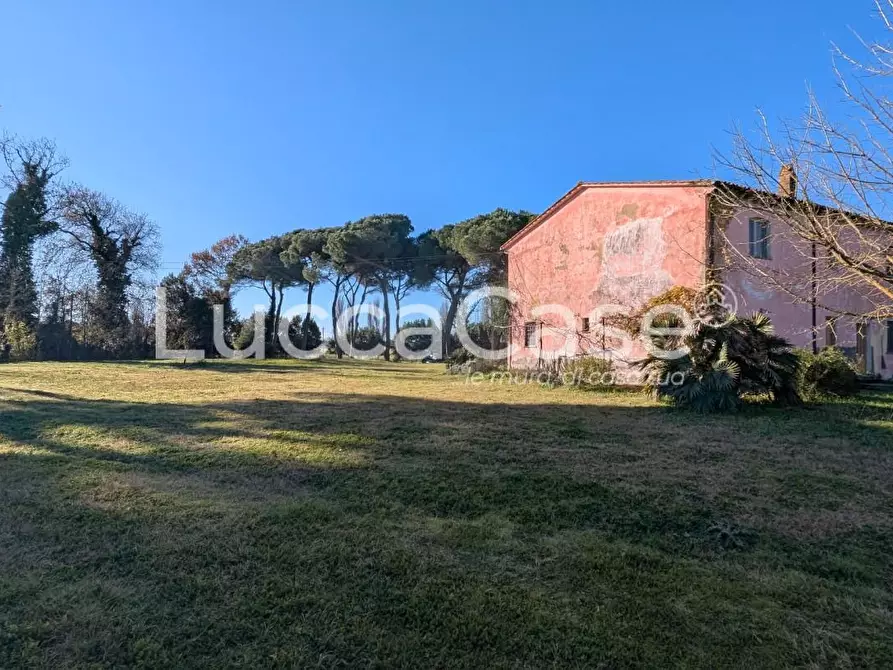 Immagine 4 di Appartamento in affitto  a Vecchiano