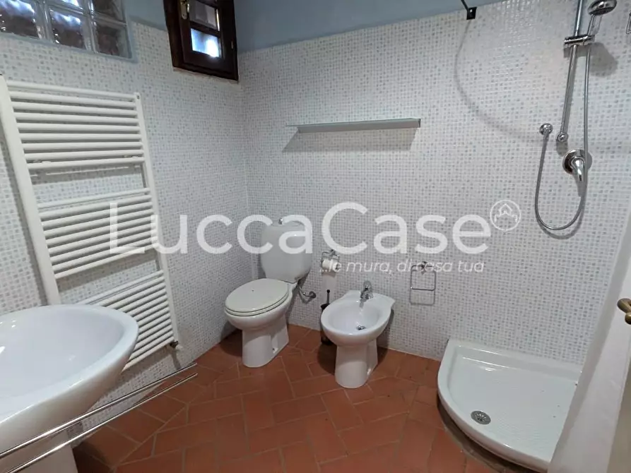 Immagine 15 di Appartamento in affitto  a Vecchiano