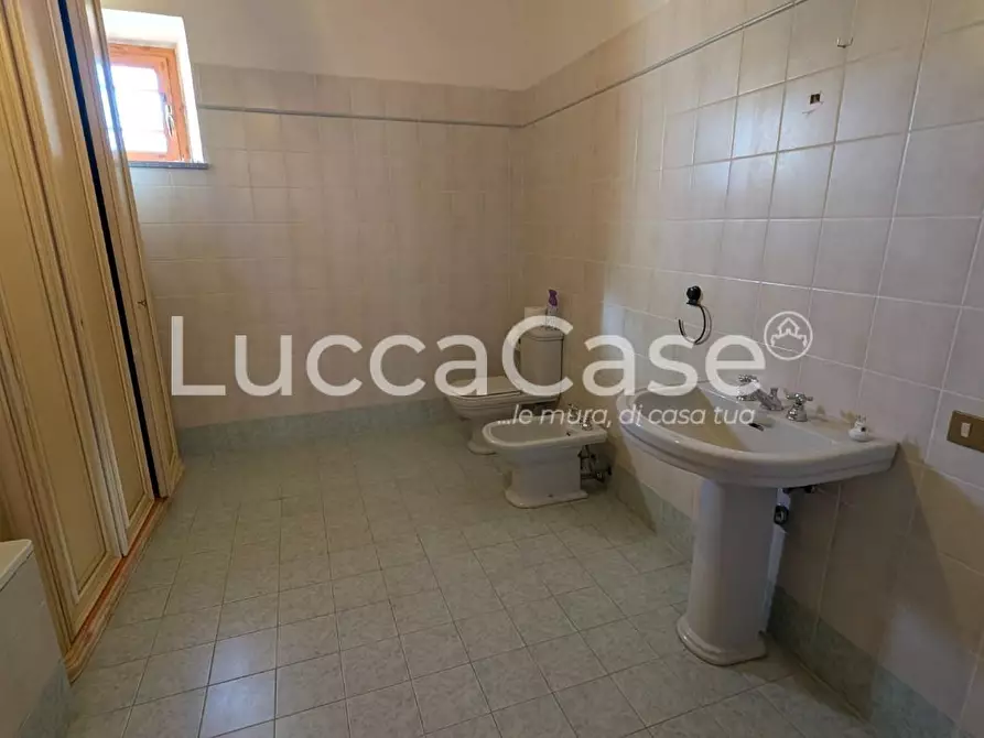 Immagine 13 di Appartamento in affitto  a Vecchiano