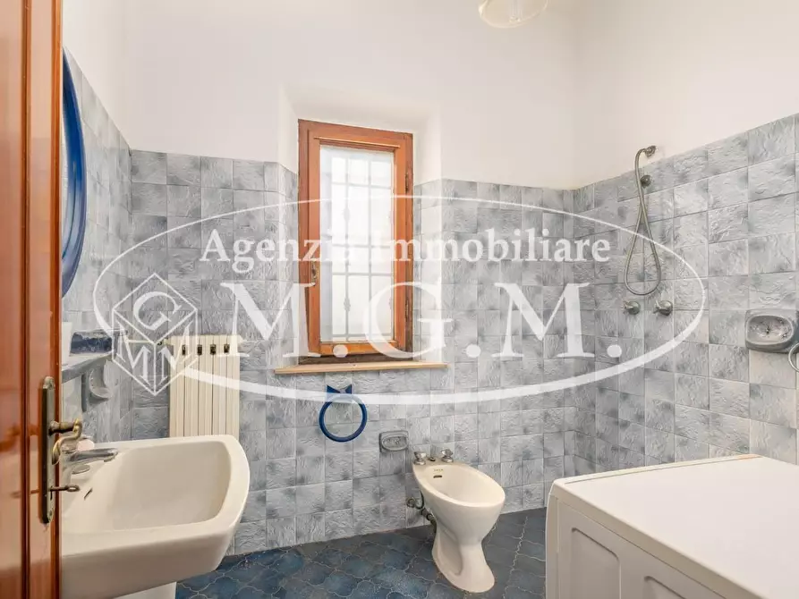 Immagine 19 di Terratetto in vendita  a Buti