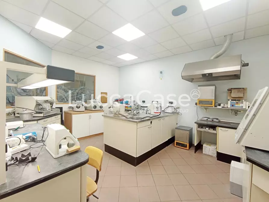 Immagine 7 di Ufficio in affitto  a Lucca