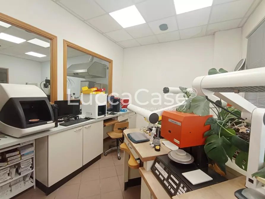 Immagine 8 di Ufficio in affitto  a Lucca