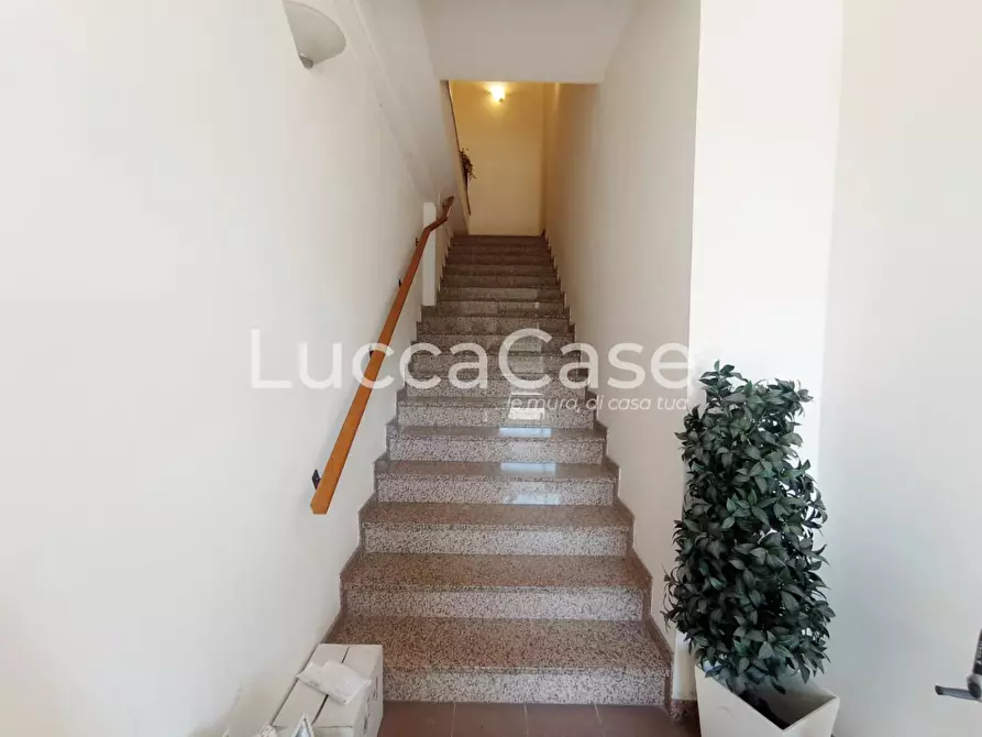 Immagine 4 di Ufficio in affitto  a Lucca