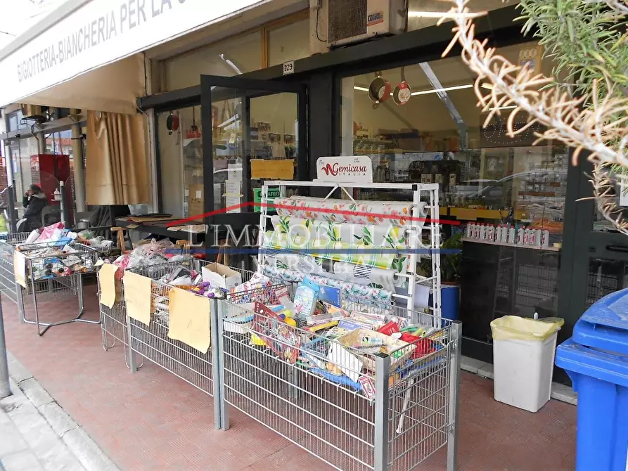 Immagine 12 di Attività commerciale in vendita  a Massa