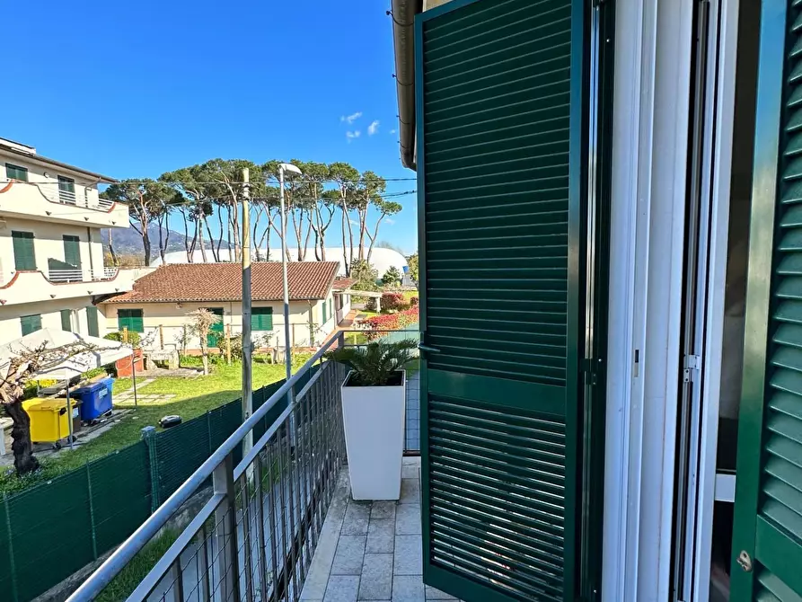 Immagine 12 di Appartamento in vendita  a Massa