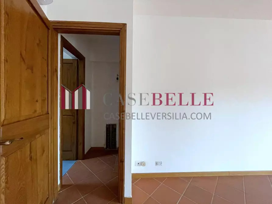 Immagine 13 di Villa in vendita  a Camaiore