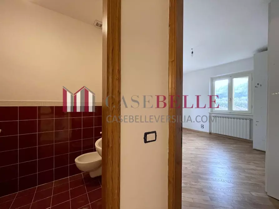 Immagine 47 di Villa in vendita  a Camaiore