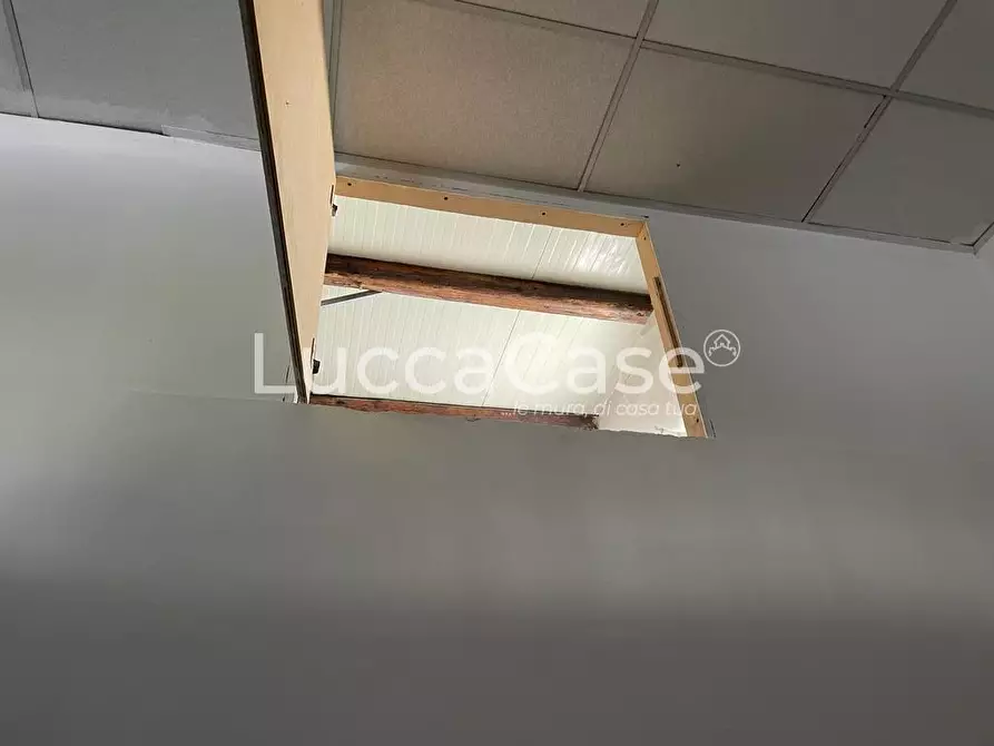 Immagine 11 di Negozio in vendita  a Viareggio