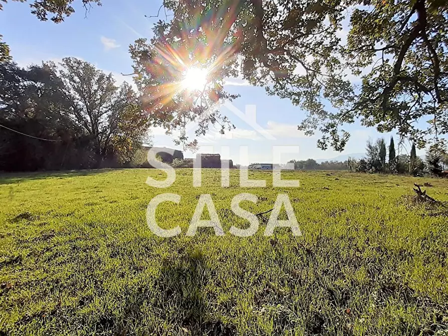 Immagine 5 di Casa colonica in vendita  a Castelfranco Di Sotto