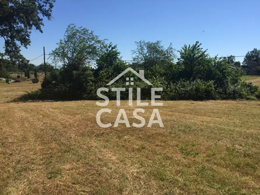 Immagine 16 di Casa colonica in vendita  a Castelfranco Di Sotto