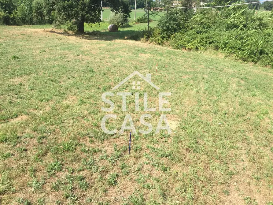 Immagine 23 di Casa colonica in vendita  a Castelfranco Di Sotto