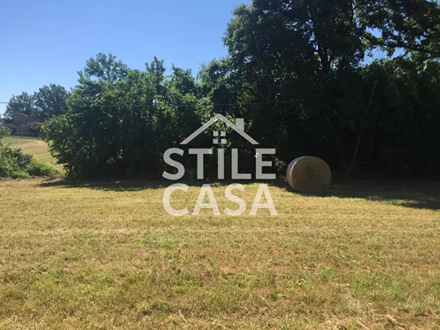 Immagine 18 di Casa colonica in vendita  a Castelfranco Di Sotto