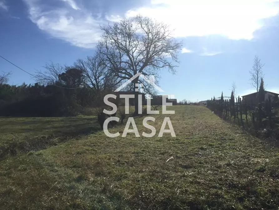 Immagine 6 di Casa colonica in vendita  a Castelfranco Di Sotto