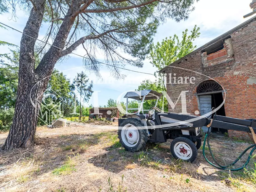 Immagine 30 di Casa colonica in vendita  a San Miniato