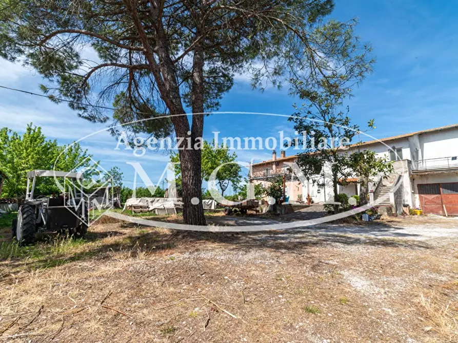 Immagine 32 di Casa colonica in vendita  a San Miniato