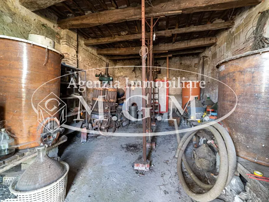 Immagine 29 di Casa colonica in vendita  a San Miniato