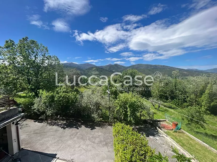 Immagine 11 di Villa in vendita  a Capannori