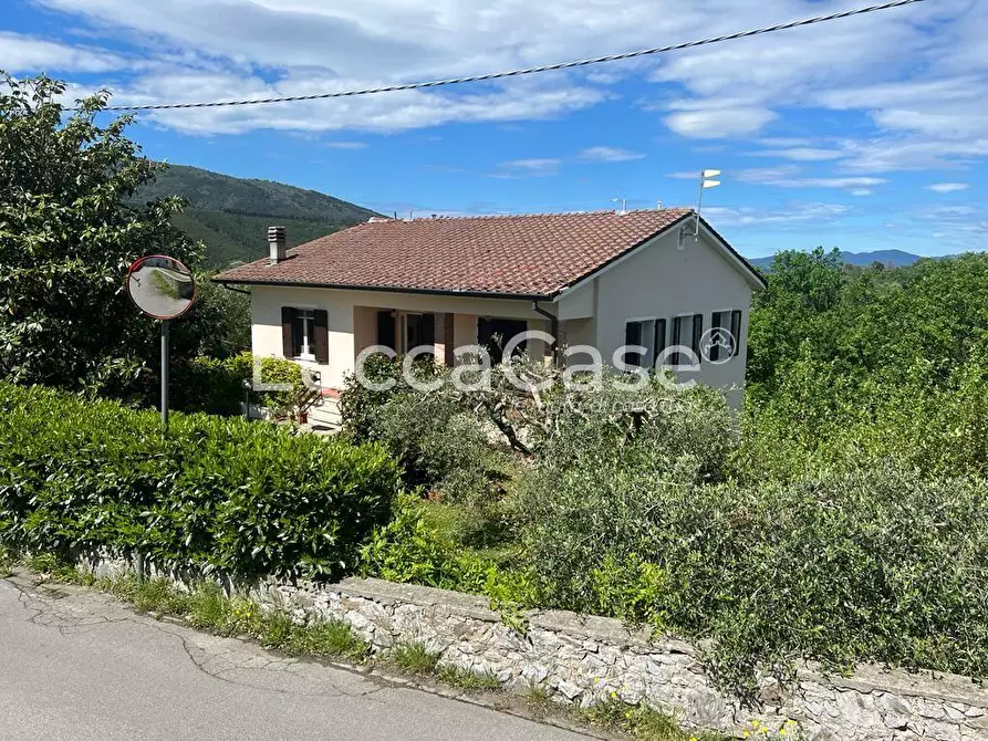 Immagine 3 di Villa in vendita  a Capannori