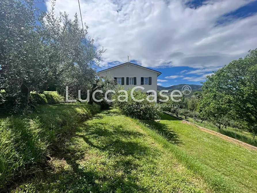 Immagine 4 di Villa in vendita  a Capannori