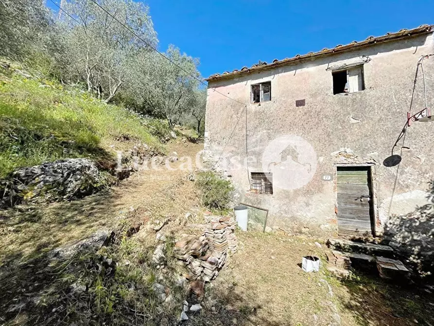 Immagine 1 di Casa indipendente in vendita  a Lucca