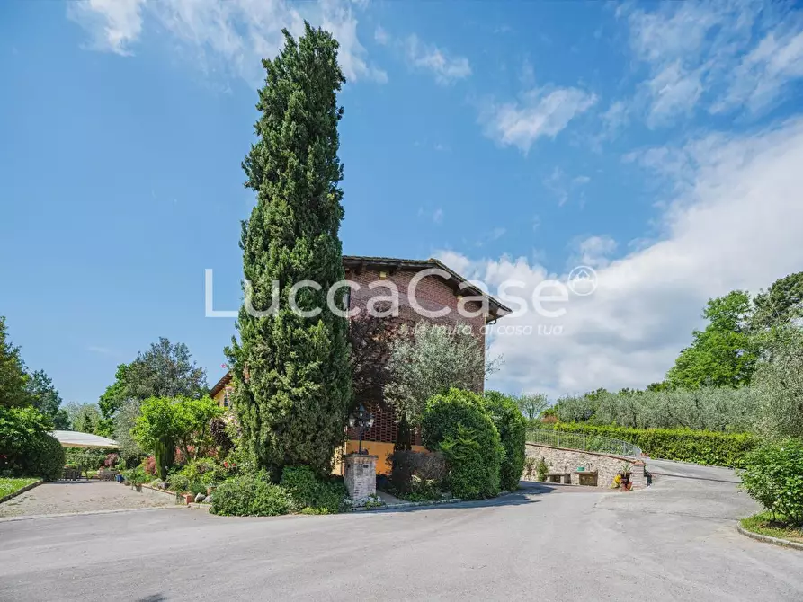 Immagine 56 di Casa colonica in vendita  a Capannori