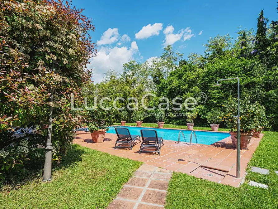 Immagine 41 di Casa colonica in vendita  a Capannori