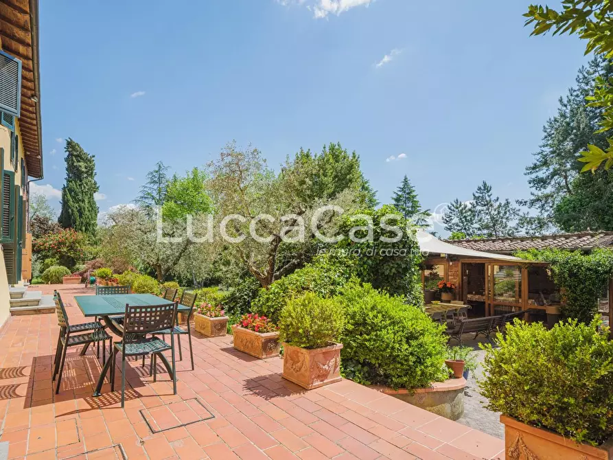 Immagine 6 di Casa colonica in vendita  a Capannori