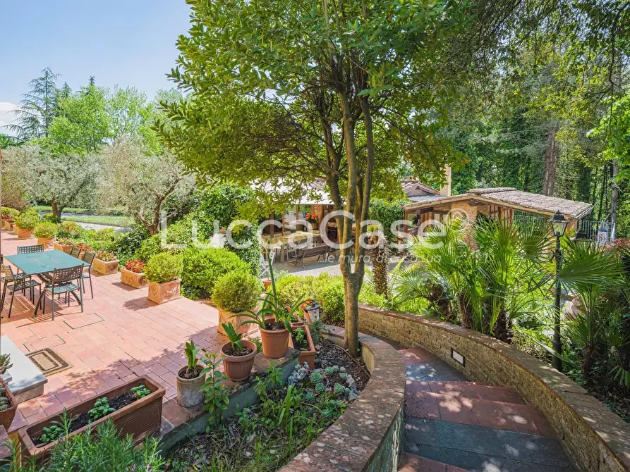 Immagine 7 di Casa colonica in vendita  a Capannori