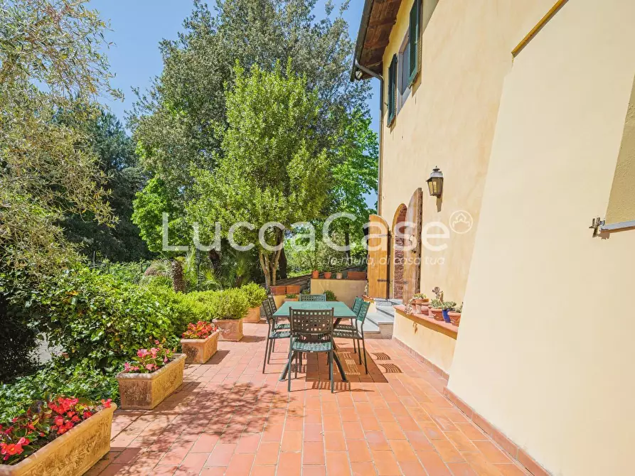 Immagine 8 di Casa colonica in vendita  a Capannori