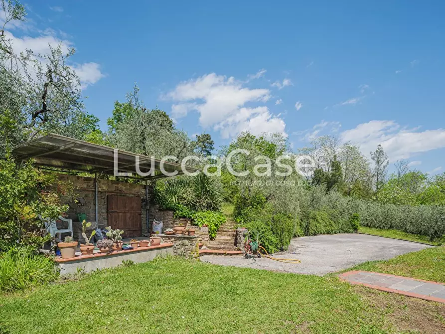 Immagine 53 di Casa colonica in vendita  a Capannori
