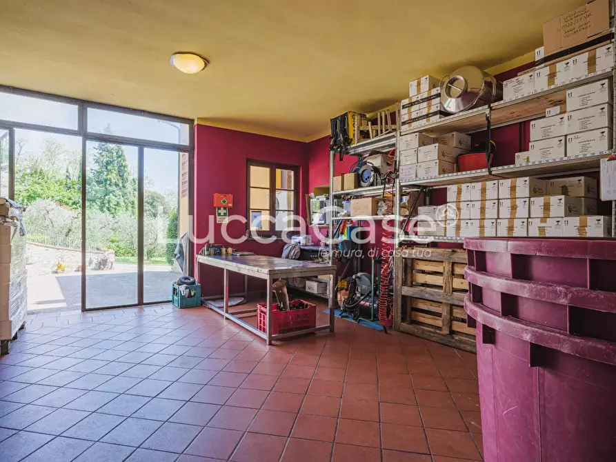 Immagine 39 di Casa colonica in vendita  a Capannori