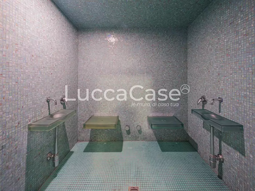 Immagine 37 di Casa colonica in vendita  a Capannori