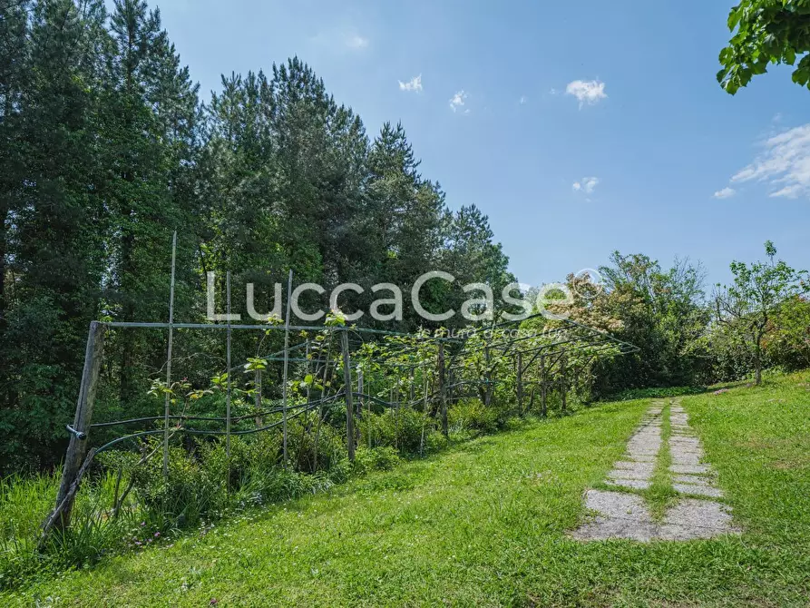 Immagine 55 di Casa colonica in vendita  a Capannori