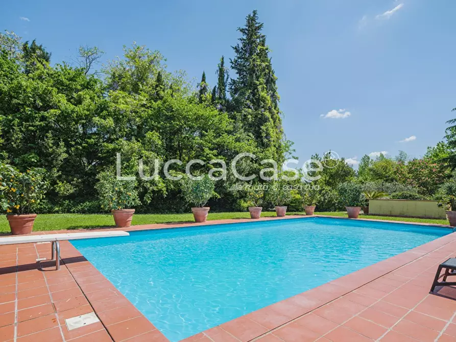 Immagine 43 di Casa colonica in vendita  a Capannori