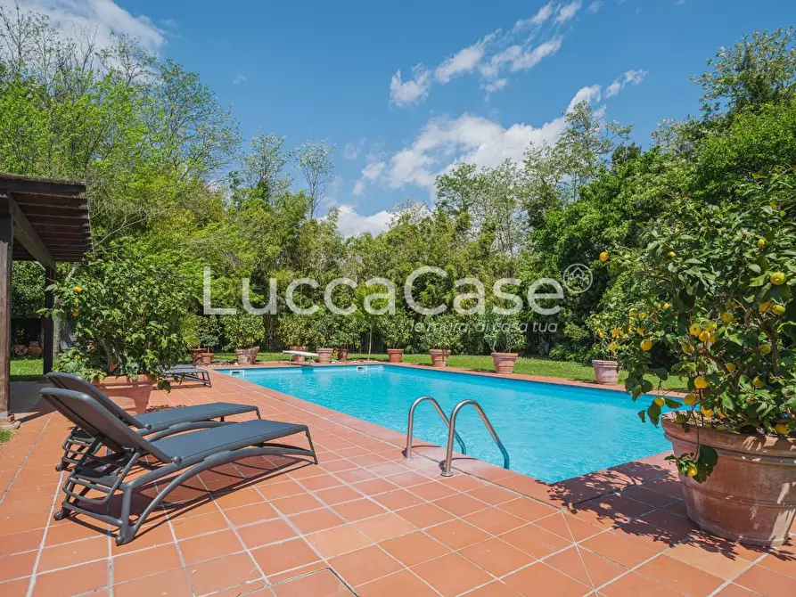 Immagine 4 di Casa colonica in vendita  a Capannori