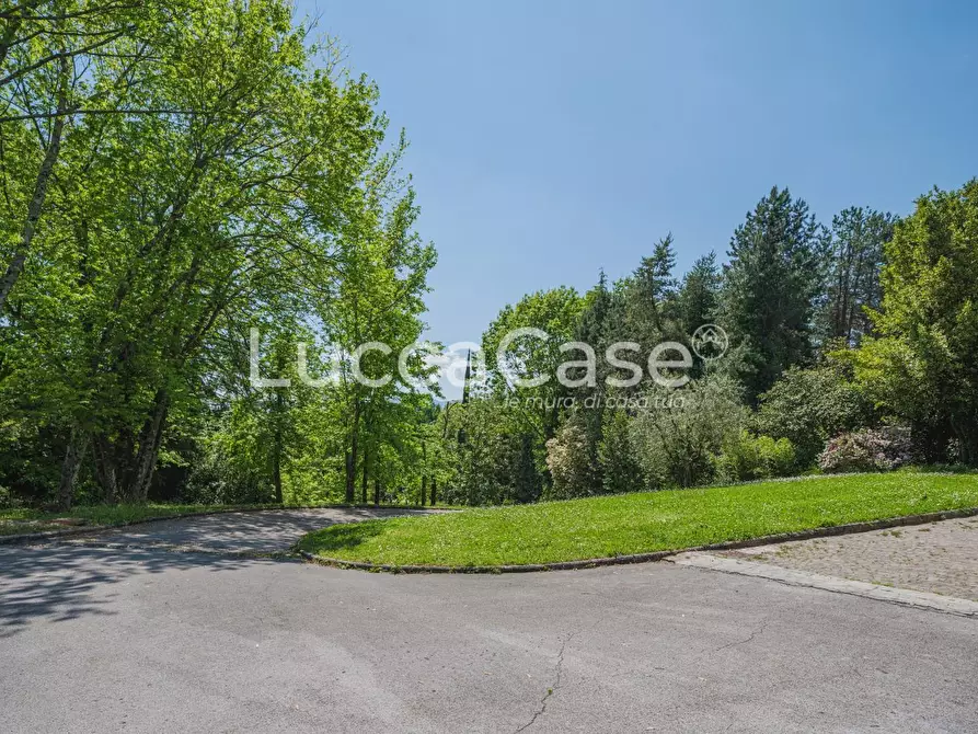 Immagine 54 di Casa colonica in vendita  a Capannori