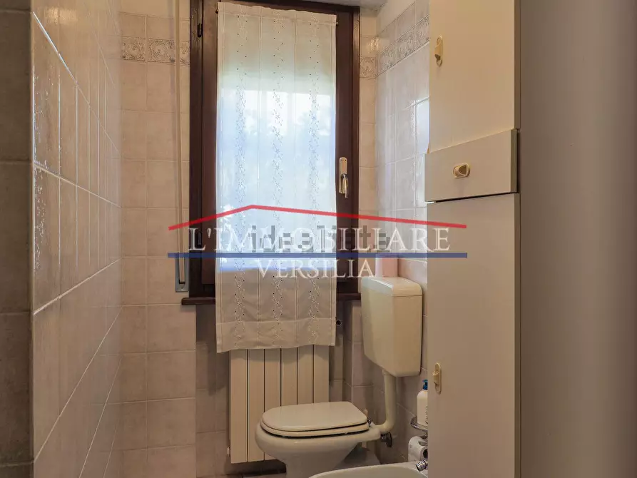 Immagine 16 di Appartamento in affitto  a Massa