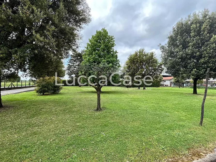 Immagine 17 di Villa in vendita  a Porcari